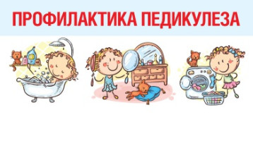 Памятка для родителей и педагогических работников, сопровождающих детей в поездках, лагерях или при организации мероприятий в период школьных каникул по профилактике педикулеза Памятка для родителей и педагогических работников, сопровождающих детей в поездках, лагерях или при организации мероприятий в период школьных каникул по профилактике педикулеза.